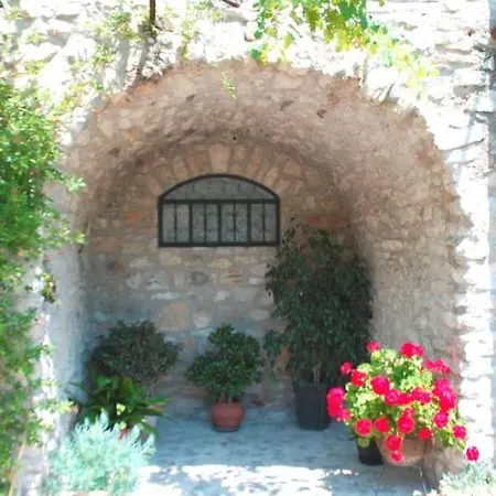 Lina 1 *